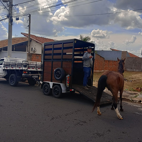CAPTURA E ACOLHIMENTO DE ANIMAIS 3