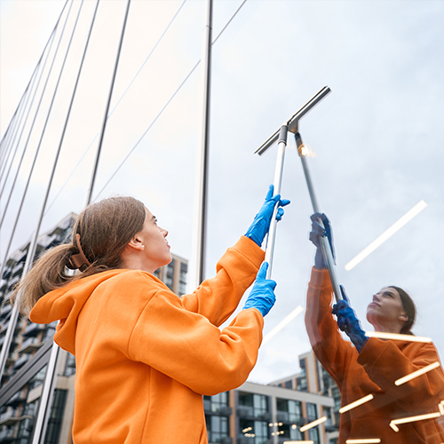 cleaning-lady-washing-windows-with-window-cleaning-2025-03-09-03-14-40-utc